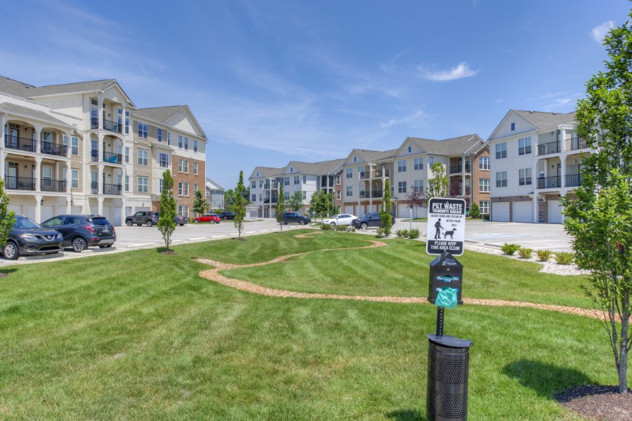 Designated dog park at apartment community.